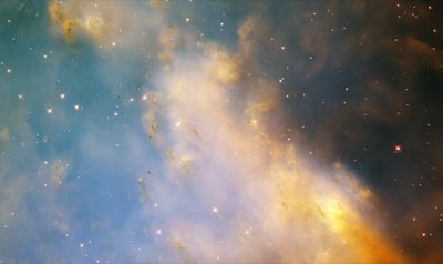 800件の脆弱性発見：AIエージェントの実行力を検証する