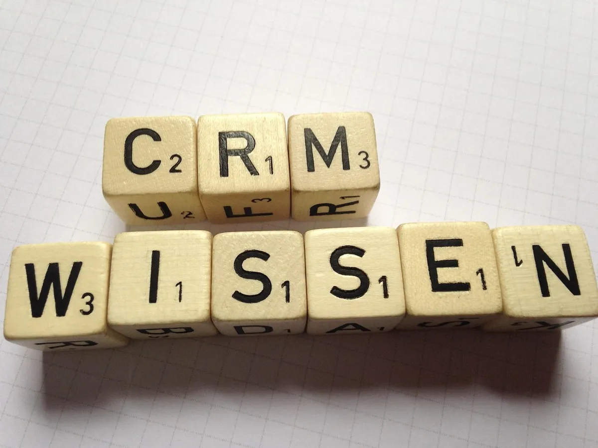 CRM, DICE, 텍스트, 지식, CRM, CRM, CRM, CRM, CRM